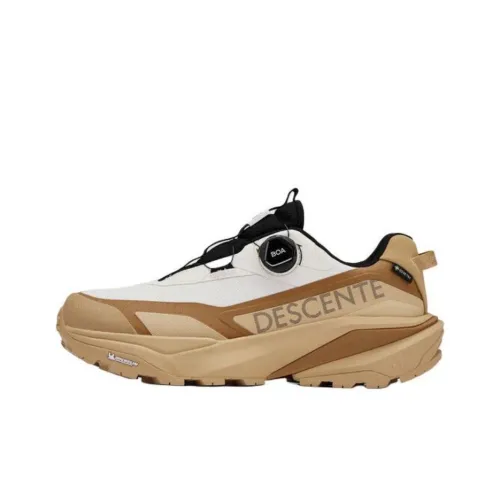 DESCENTE SKI STYLE Повседневный Низкий Топ Коричневый Мужской