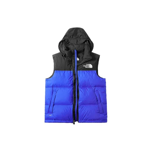 THE NORTH FACE 1996 Collection Nuptse Жилет Мужской Синий