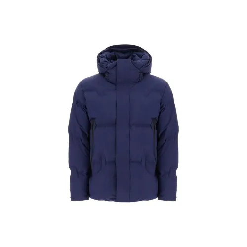 Ermenegildo Zegna Синий Мужской Пуховик