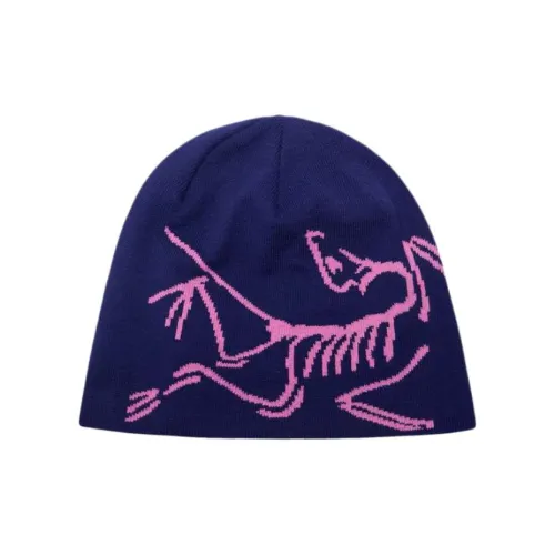 Arcteryx Хлопок Полиэстер Шапки-бини Унисекс Фиолетовый