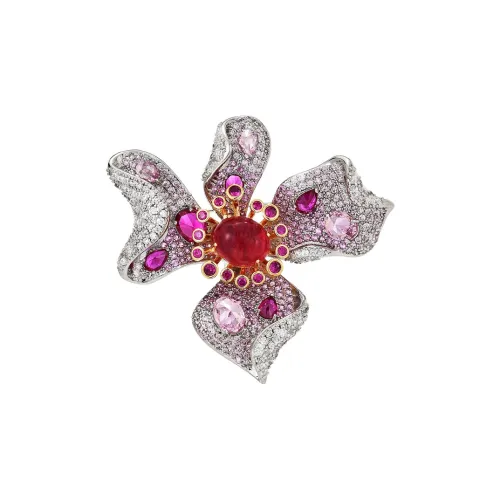 Marco Bizzarri Броши Женские