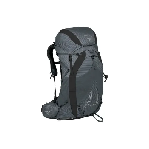 OSPREY 38L Туристические сумки Переработанный нейлон Мужской