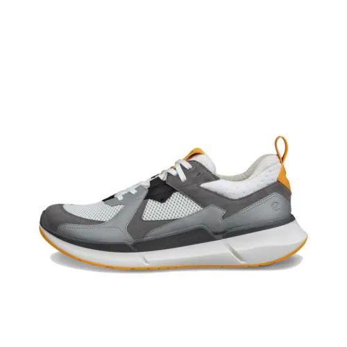 Ecco Biom 2,2 Low Топ Casual Мужской Серый Белый