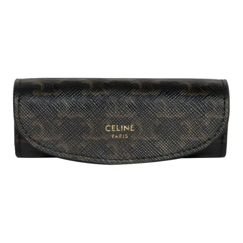 CELINE Triomphe Холст Хранение Сумка Мужская