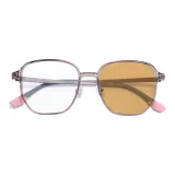 Прозрачно-серый, Камея коричневая, Светочувствительный, Чайный коричневый