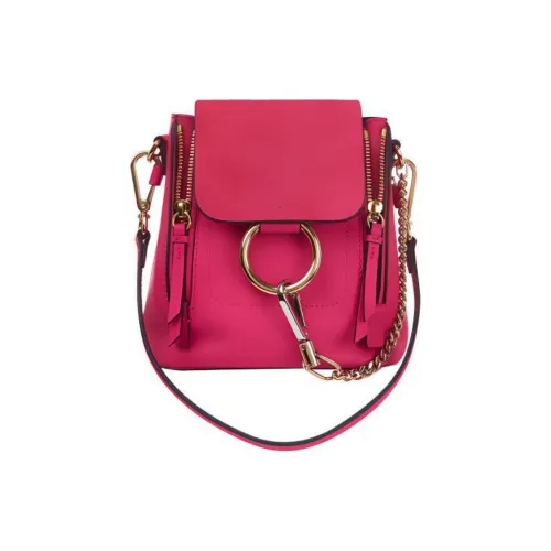 Chloé сумки Рюкзаки Женские