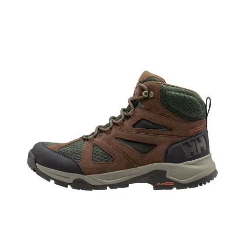 HELLY HANSEN Альпинистские и туристические ботинки High Top Коричневый Мужской