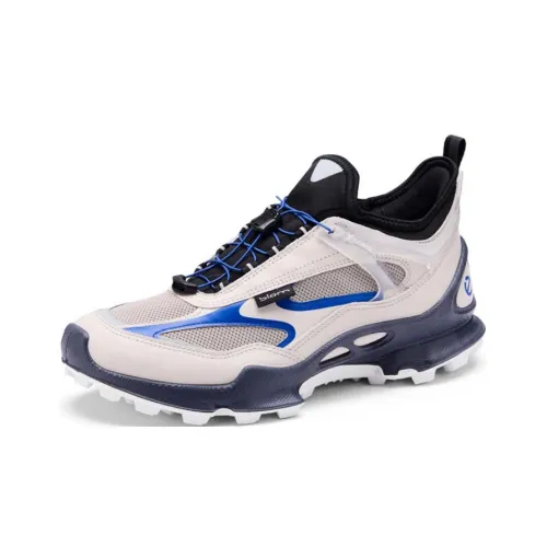 Ecco Striding C Low Топ Альпинистская Обувь Мужская Серый Синий