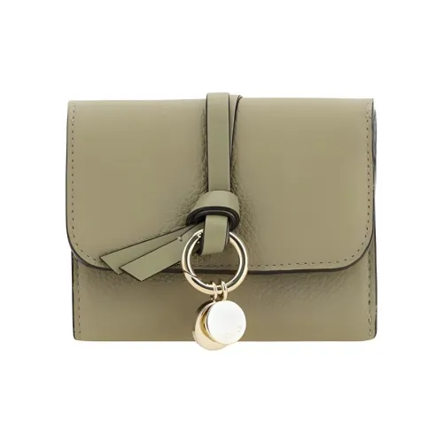 Chloe Alphabet Bos Телец Телячья кожа Кошелек Женские Терракота Зеленый