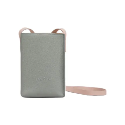 MARNI Museo Телячья кожа Сумка через плечо Женская Серый и Белый