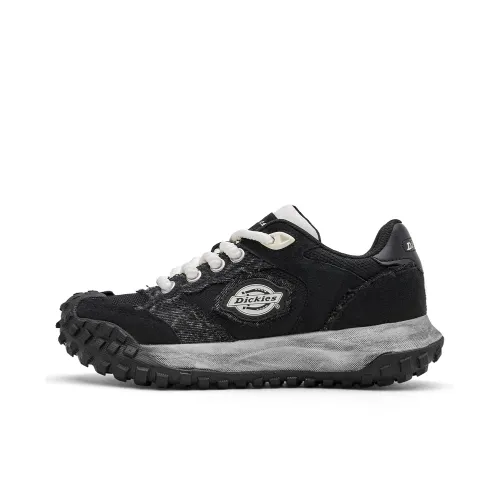 Dickies Уличная обувь Низкий топ Черный мужской