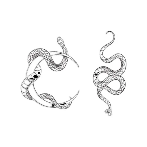 QINGSHANQIHAI Временные татуировки Унисекс