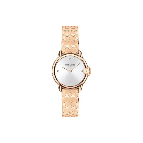 COACH Женские часы Кварцевый механизм Ремешок из нержавеющей стали 28 мм Серебристый циферблат 14503693