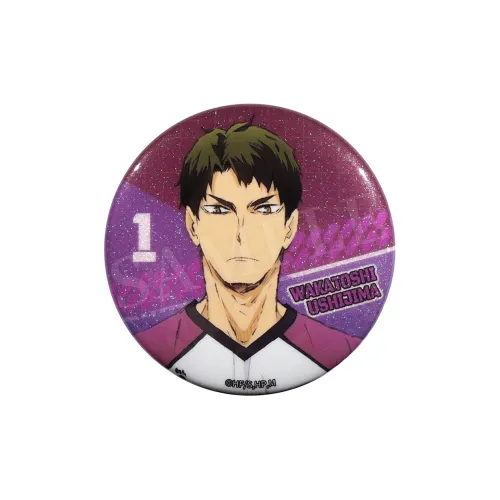 BOOM COMIC Шоё Хината Тобио Кагеяма Haikyuu!! S3 Ушино Яма Старшая школа Радужный белый Зеленый лук Значки