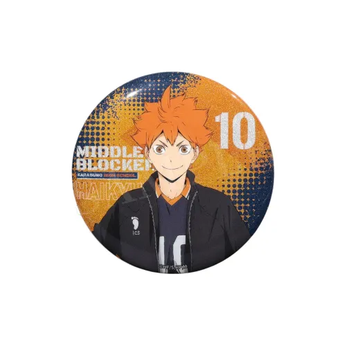 BOOM COMIC Волейбол!! S4 Пальто Коллекция Серебряный Onion Значки