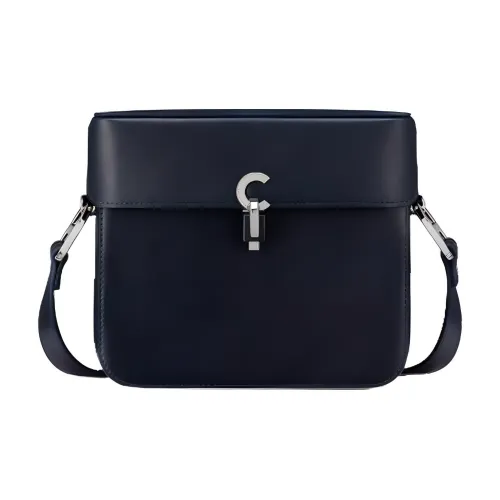 DIOR Гладкая коровья кожа Сумка через плечо Стандартная Женская Синяя