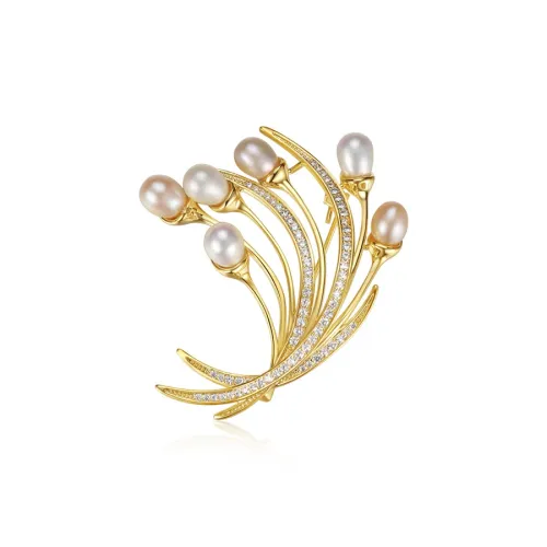 ZANC Броши Женские