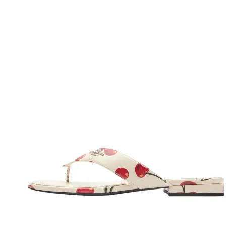 COACH Шлепанцы Женские