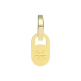 Рыбы [2,19--3,20]