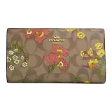 Сумка + Пылезащитный чехол