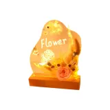 Свет Dried Цветочный дизайн