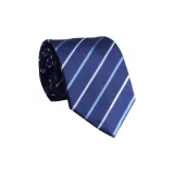 Сине-белые полоски