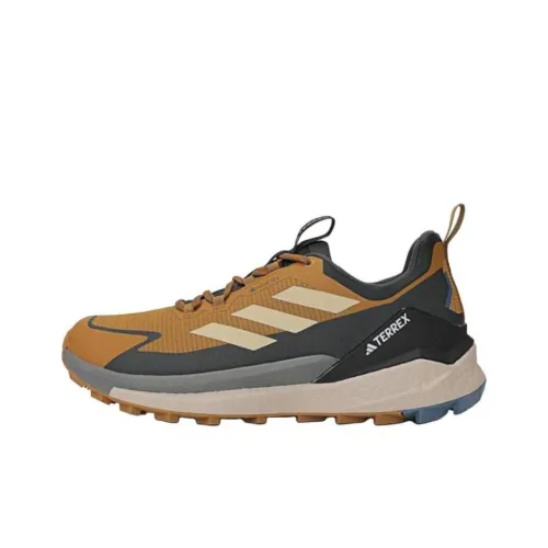 adidas Terrex Беговые кроссовки Низкий Топ Коричневый Черный Мужской