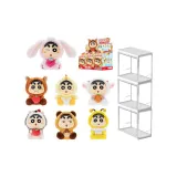 Цельная коробка 6 шт + подставка