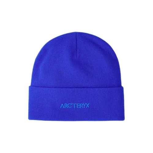 Arcteryx Переработанный полиэстер Шапки-бини Женские Синий