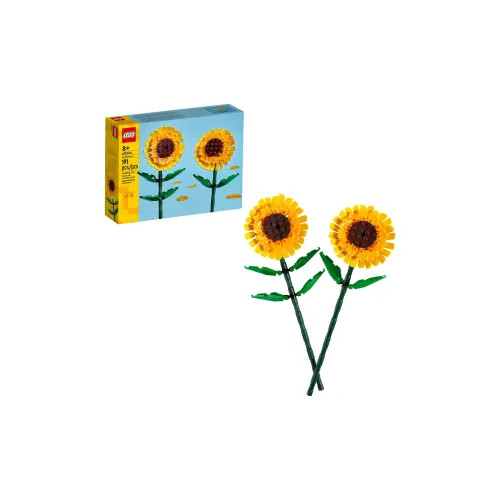 LEGO Classic Пластиковые конструкторы