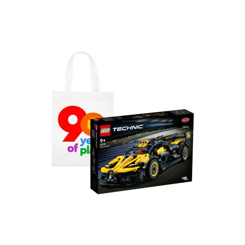 LEGO Technic Пластиковые конструкторы