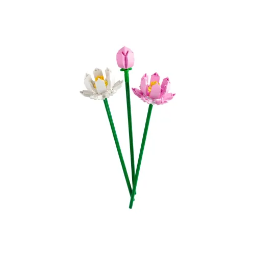 LEGO Classic Пластиковые конструкторы