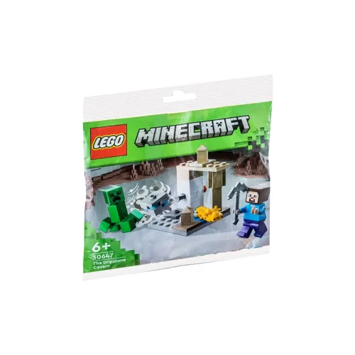 LEGO CAVE Пэчворк Сумка Конструкторы 0 300 шт. 30647