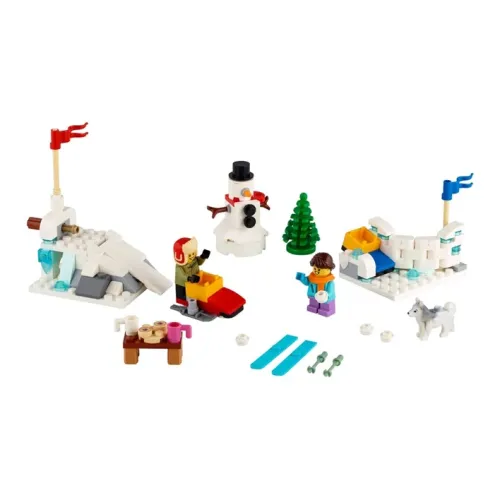 LEGO Зимний Снег BATTLE Конструкторы 149 шт. 40424