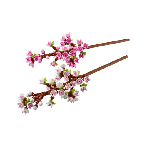 LEGO Пластиковые конструкторы