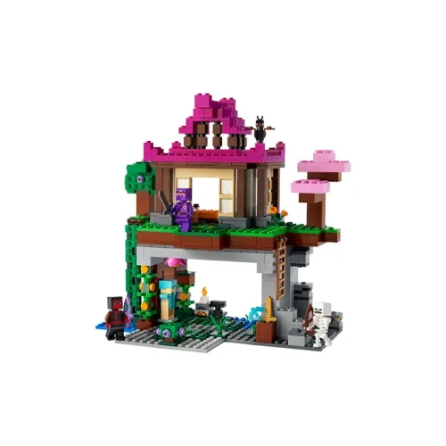 LEGO Minecraft Пластиковые конструкторы