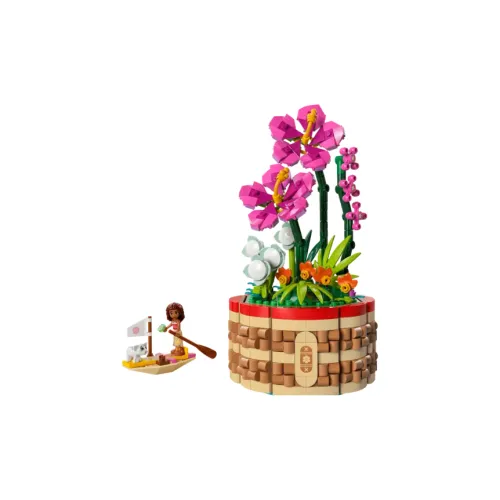 LEGO Пластиковые конструкторы