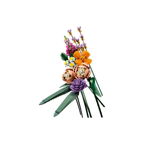 LEGO Ideas Collection Пластиковые конструкторы