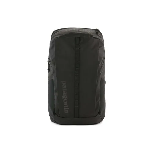 Patagonia 25L Туристические сумки Полиэстер Черный Мужской