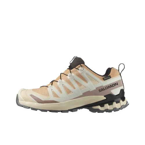 SALOMON XA Pro 3D V9 Водонепроницаемый Низкий Топ Походная Обувь Женская Бежевая