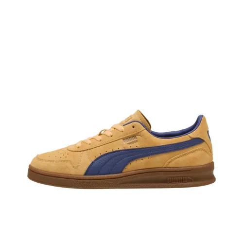 PUMA Indoor Soft Low Топ Скейтборд Кроссовки Унисекс Коричневый