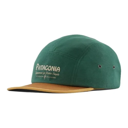 Кепки Patagonia Мужские