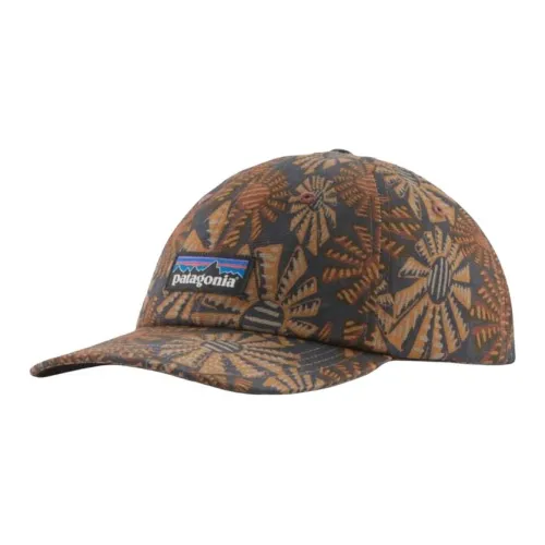 Patagonia Кепки Мужские Коричневые
