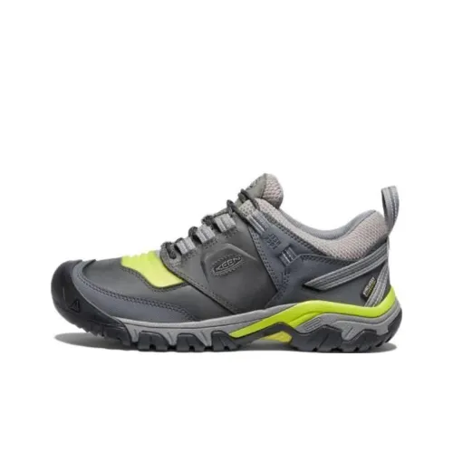 KEEN RIDGE FLEX WP Амортизация Противоскользящий Низкий Топ Уличная Обувь Мужская Серый Зеленый