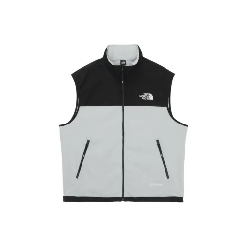 THE NORTH FACE Жилет Мужской Холодный Серый