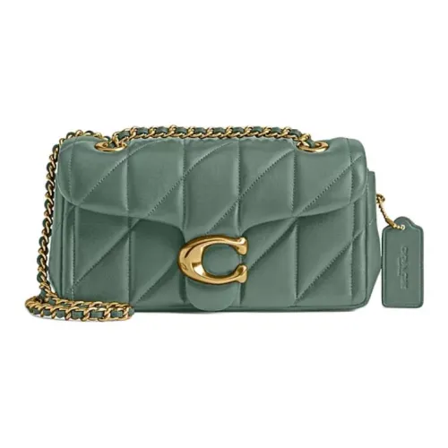 COACH Tabby Кожа Плечевая Сумка Маленькая Женская Серая Зеленая