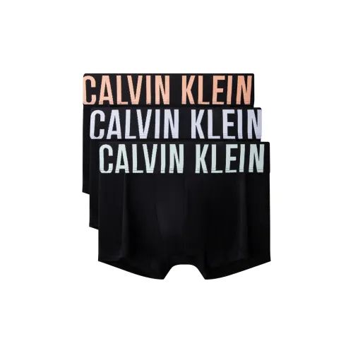 Calvin Klein SS25 Мужские боксер-шорты