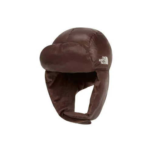 The North Face Полиэстер Гусиный пух Гусиное перо Шапки-ушанки Мужской Коричневый
