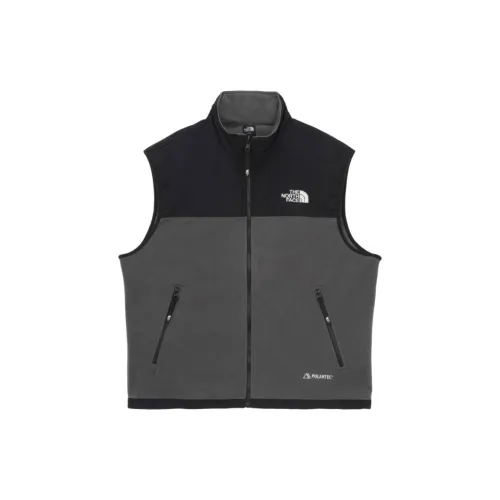 THE NORTH FACE Жилет Мужской Темно-Серый