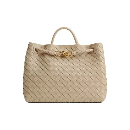 Bottega Veneta Andiamo series Овчина Сумка Стандартная Женская Светлый Умбра